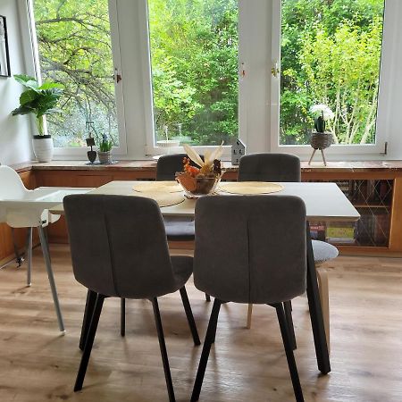 Family Apartment Linz Wohnen Mit Garten Am Fusse Des Poestlingbergs Top Lage Villenviertel Zewnętrze zdjęcie