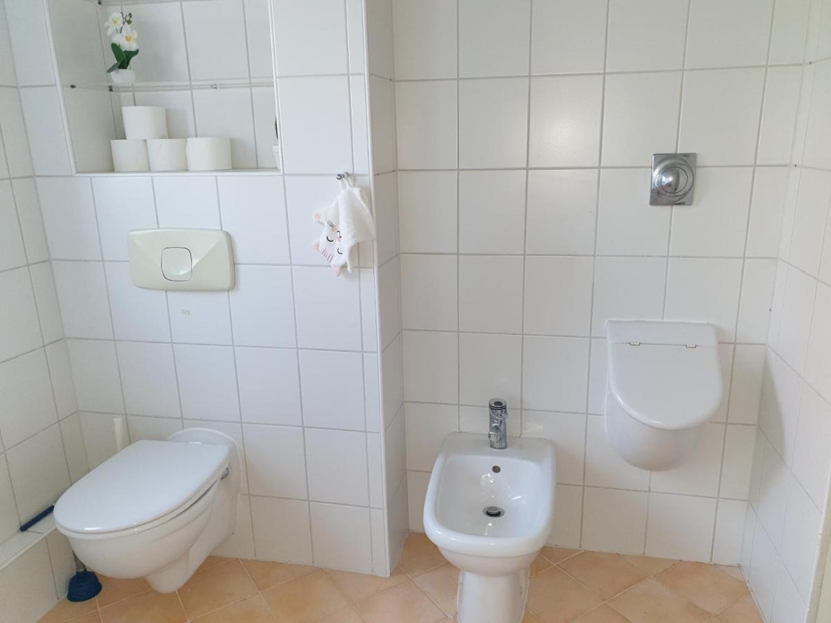 Family Apartment Linz Wohnen Mit Garten Am Fusse Des Poestlingbergs Top Lage Villenviertel Zewnętrze zdjęcie