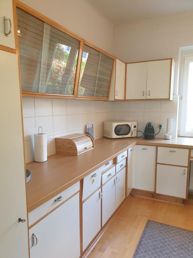 Family Apartment Linz Wohnen Mit Garten Am Fusse Des Poestlingbergs Top Lage Villenviertel Zewnętrze zdjęcie