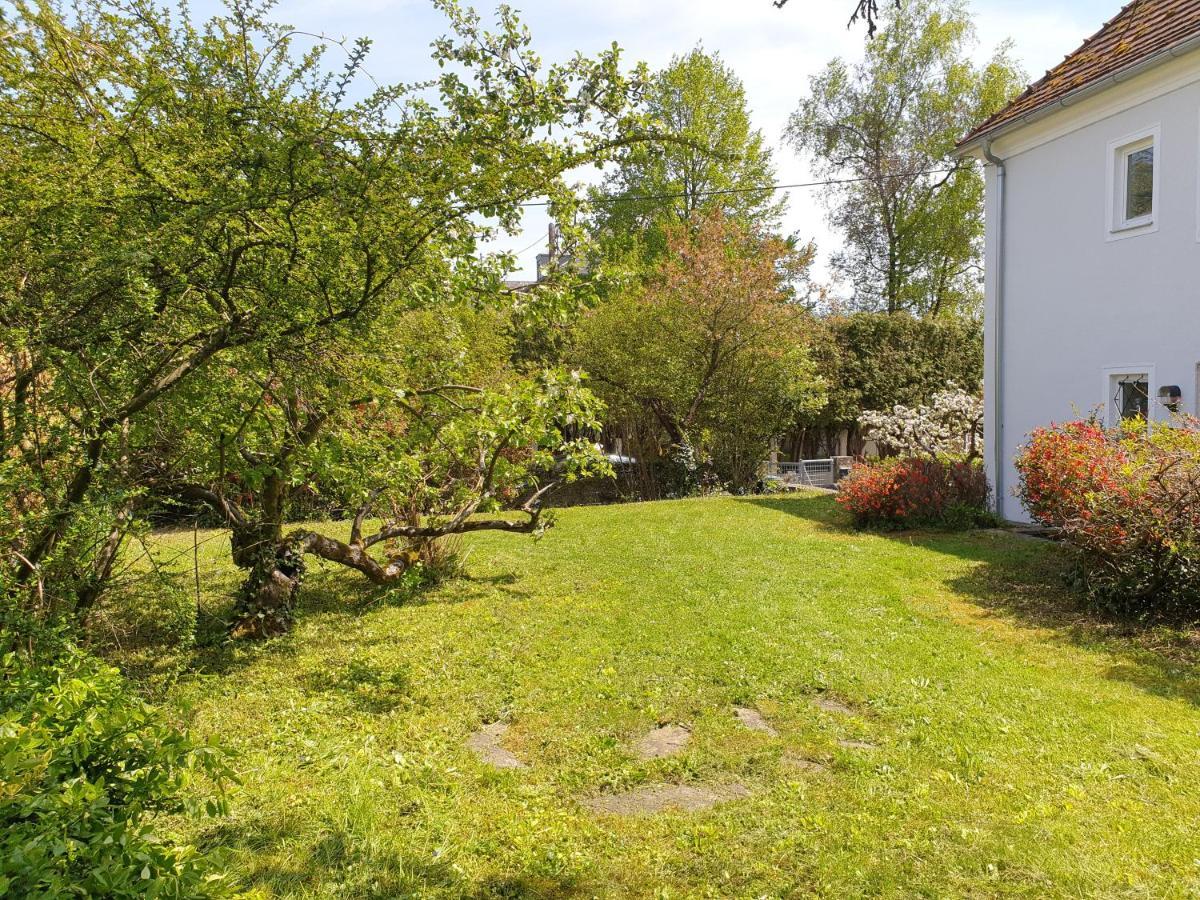 Family Apartment Linz Wohnen Mit Garten Am Fusse Des Poestlingbergs Top Lage Villenviertel Zewnętrze zdjęcie
