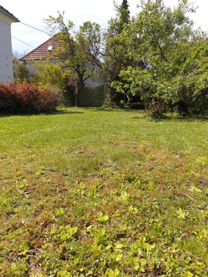Family Apartment Linz Wohnen Mit Garten Am Fusse Des Poestlingbergs Top Lage Villenviertel Zewnętrze zdjęcie