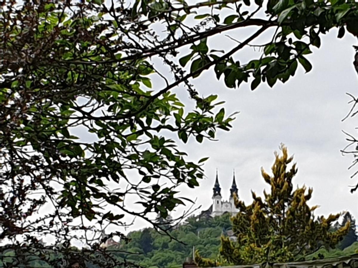 Family Apartment Linz Wohnen Mit Garten Am Fusse Des Poestlingbergs Top Lage Villenviertel Zewnętrze zdjęcie