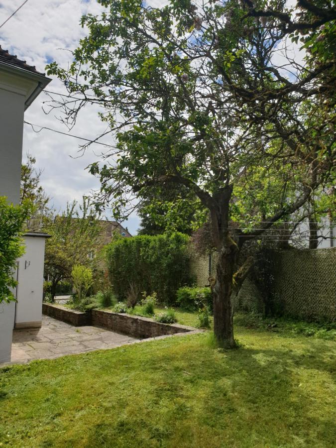Family Apartment Linz Wohnen Mit Garten Am Fusse Des Poestlingbergs Top Lage Villenviertel Zewnętrze zdjęcie