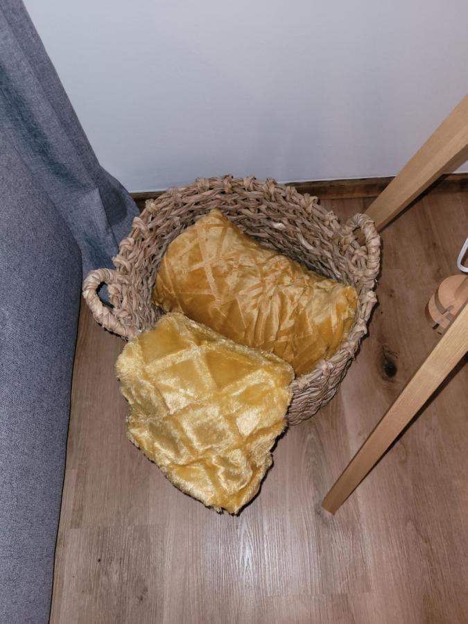 Family Apartment Linz Wohnen Mit Garten Am Fusse Des Poestlingbergs Top Lage Villenviertel Zewnętrze zdjęcie