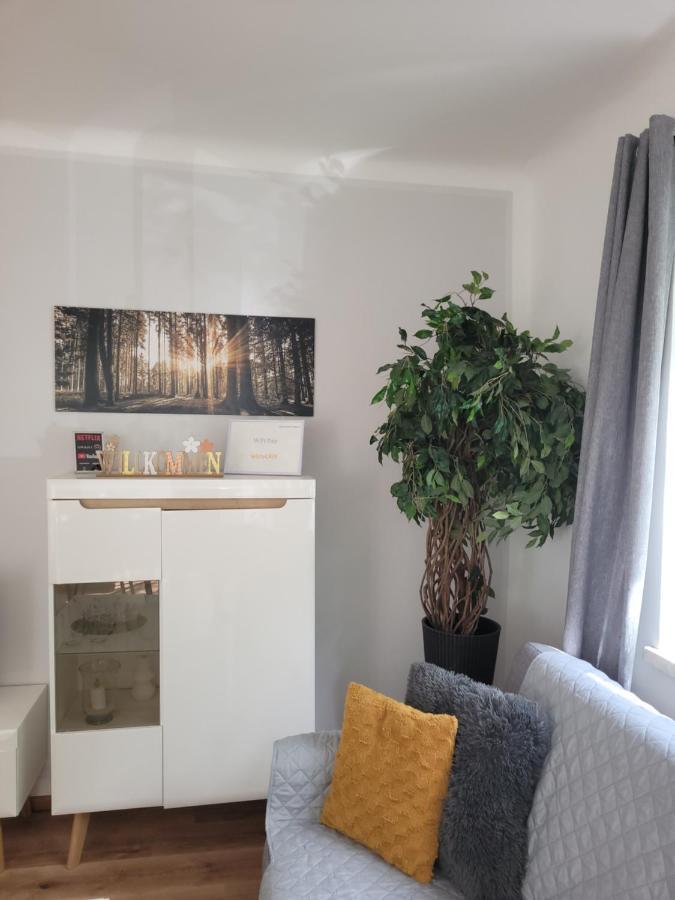 Family Apartment Linz Wohnen Mit Garten Am Fusse Des Poestlingbergs Top Lage Villenviertel Zewnętrze zdjęcie