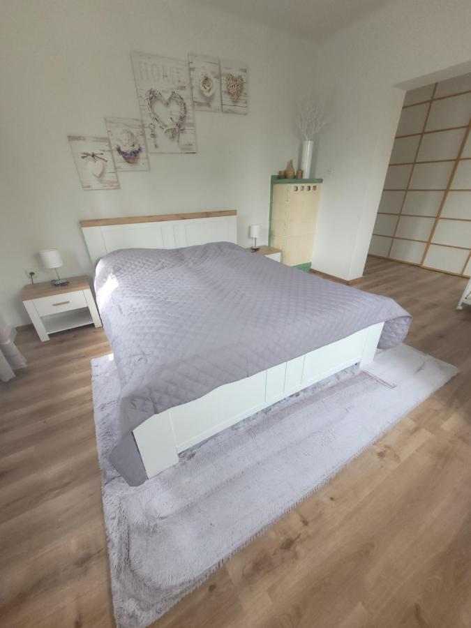 Family Apartment Linz Wohnen Mit Garten Am Fusse Des Poestlingbergs Top Lage Villenviertel Zewnętrze zdjęcie