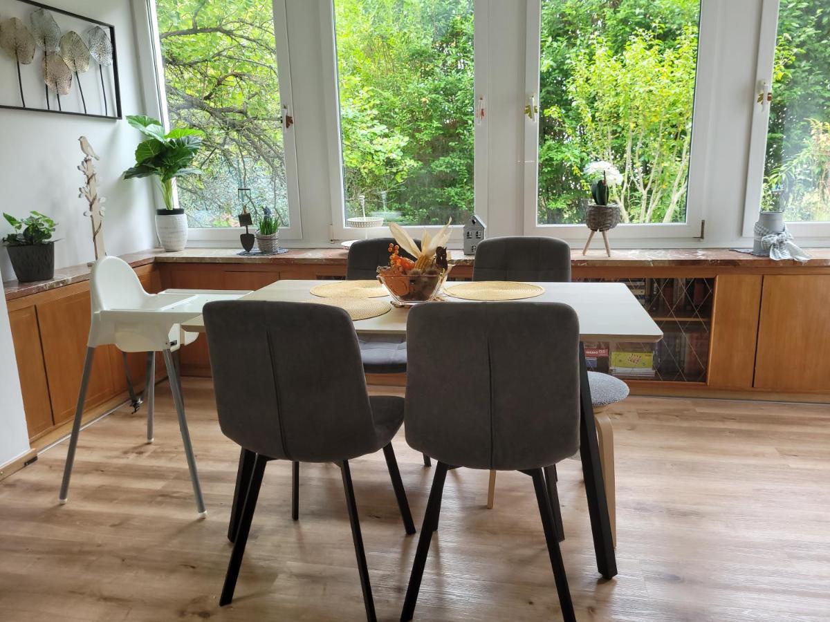 Family Apartment Linz Wohnen Mit Garten Am Fusse Des Poestlingbergs Top Lage Villenviertel Zewnętrze zdjęcie