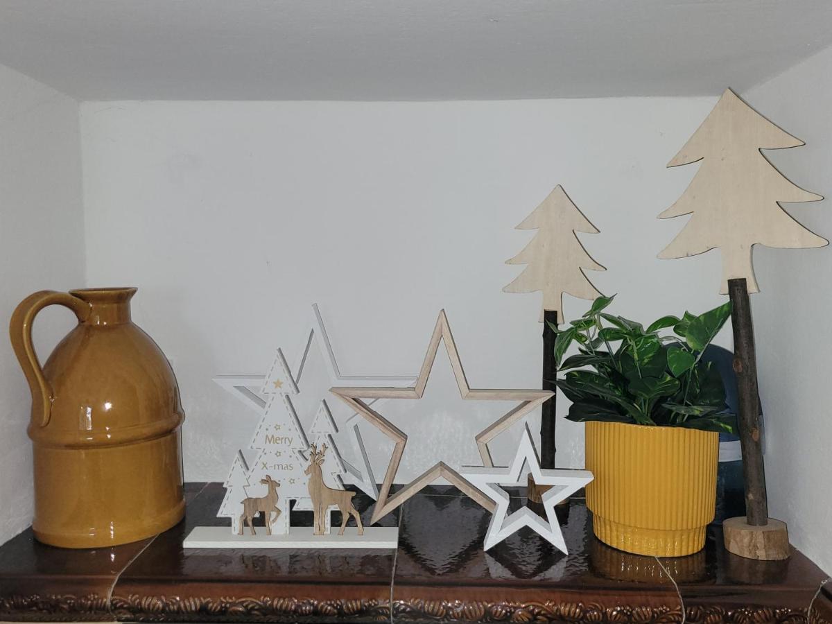 Family Apartment Linz Wohnen Mit Garten Am Fusse Des Poestlingbergs Top Lage Villenviertel Zewnętrze zdjęcie